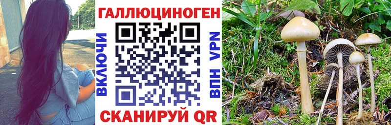 Купить закладки  Коркино  Галлюциногенные грибы Magic Shrooms 
